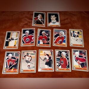 1991 Detroit Ambassadors OHL Vintage Hockey Trading Card Collection